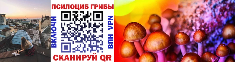 Псилоцибиновые грибы Cubensis  Чайковский 